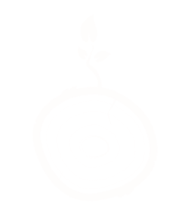 LLSM PTY LTD's logo