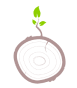 LLSM PTY LTD Logo